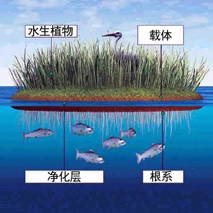 image003.jpg