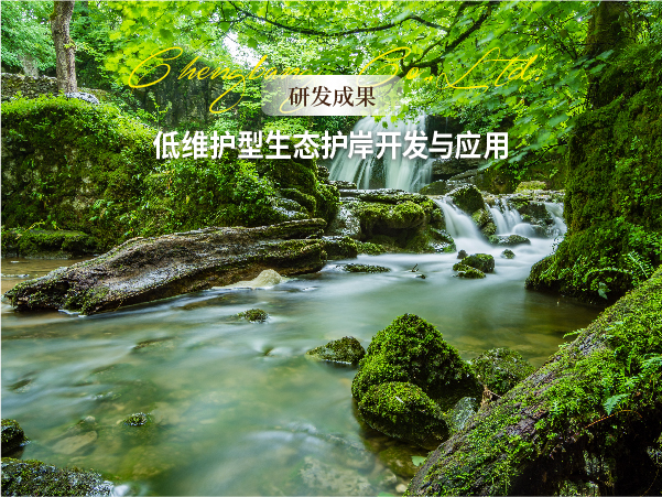 1008 网站-【研发成果】低维护型生态护岸开发与应用头图-02.jpg
